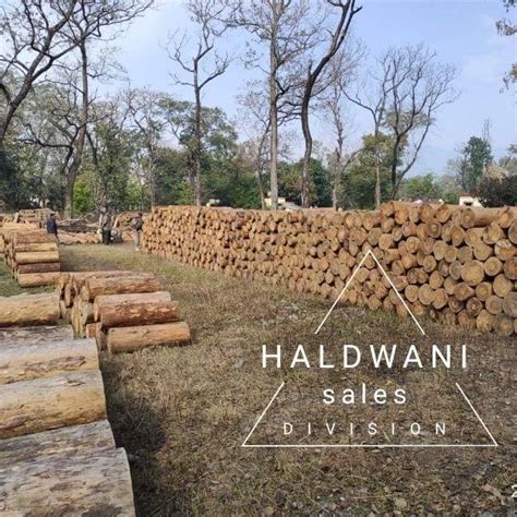 uk forest corporation sale list|Uttarakhand Forest Development Corporation, E.
